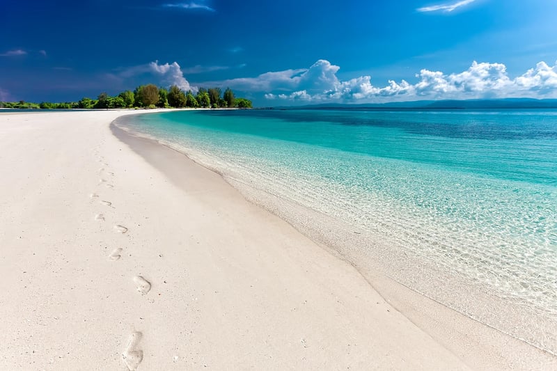 Tropical beach